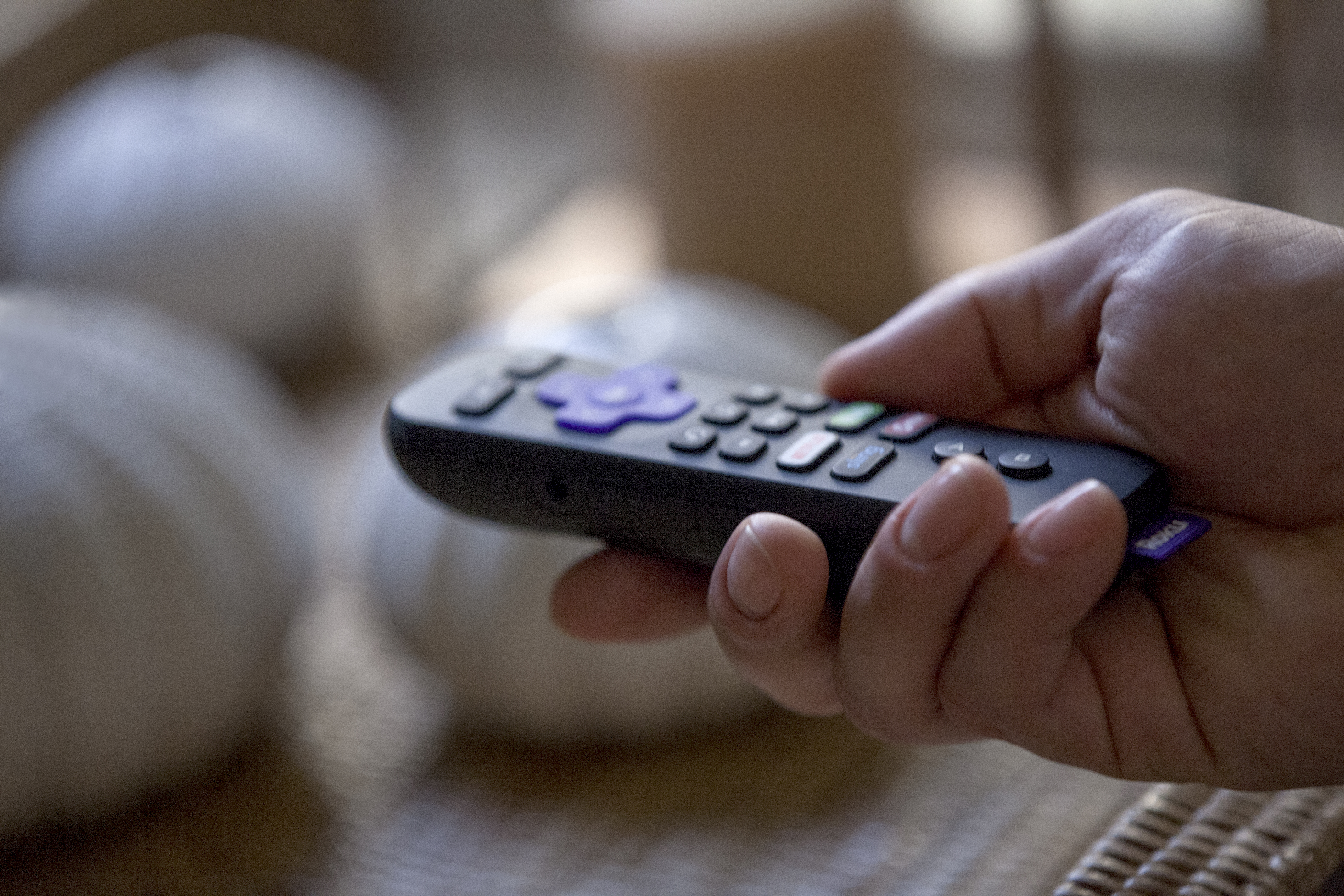 Roku Streaming Hours Surged 80% In April